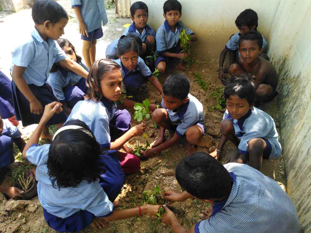 Tree Planting Initiative